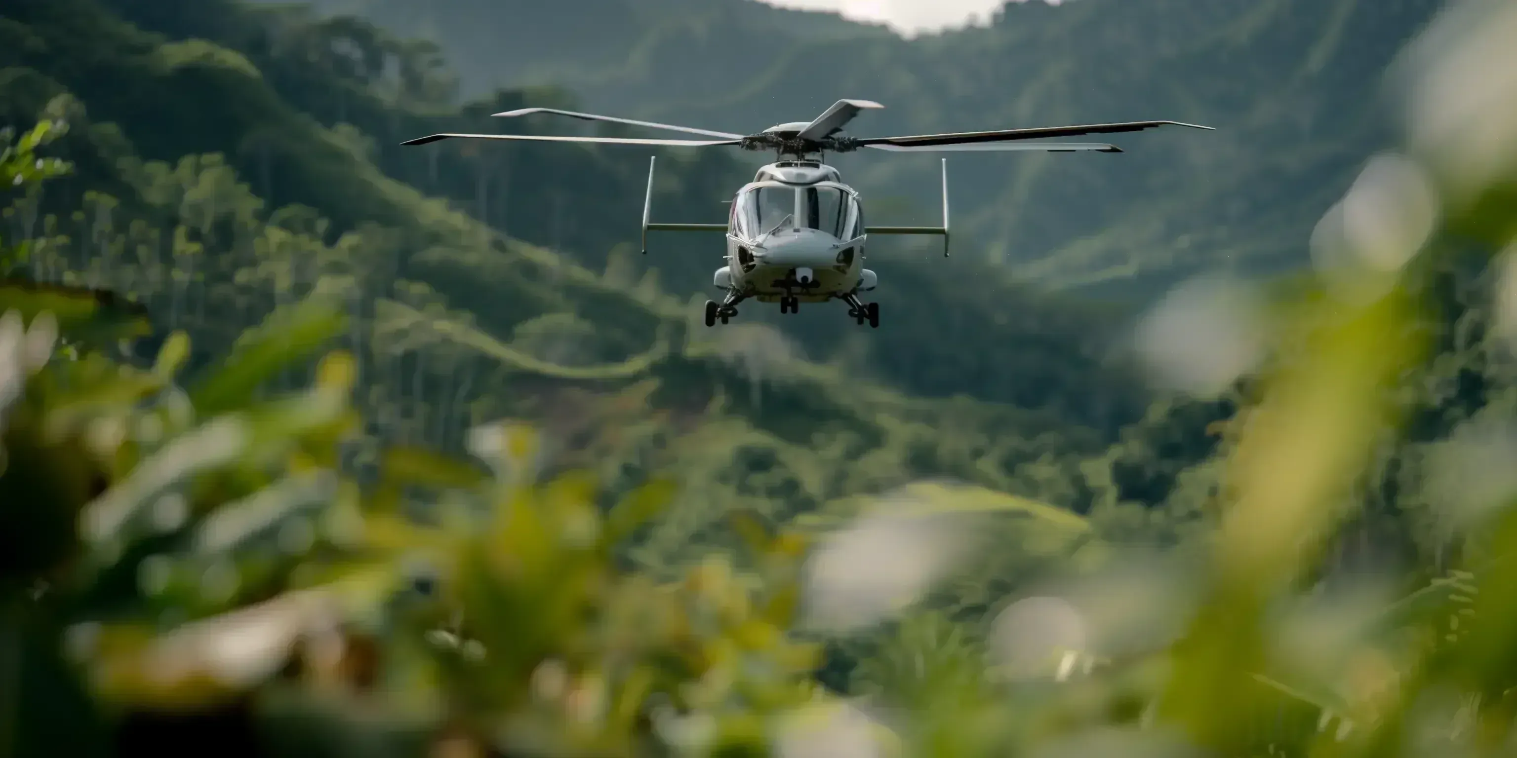 Safari helicopter tour spotting African wildlife from above